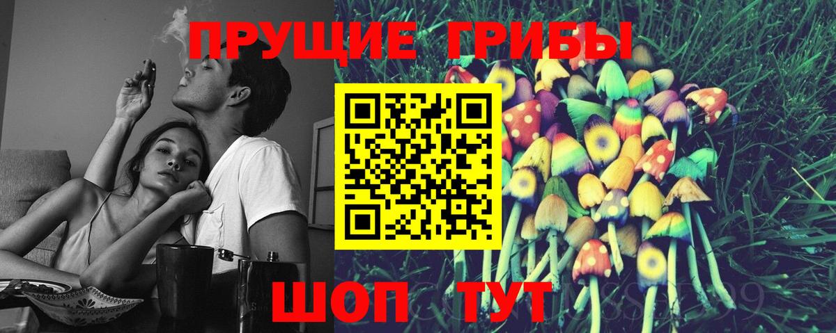 Псилоцибиновые грибы Cubensis Печора