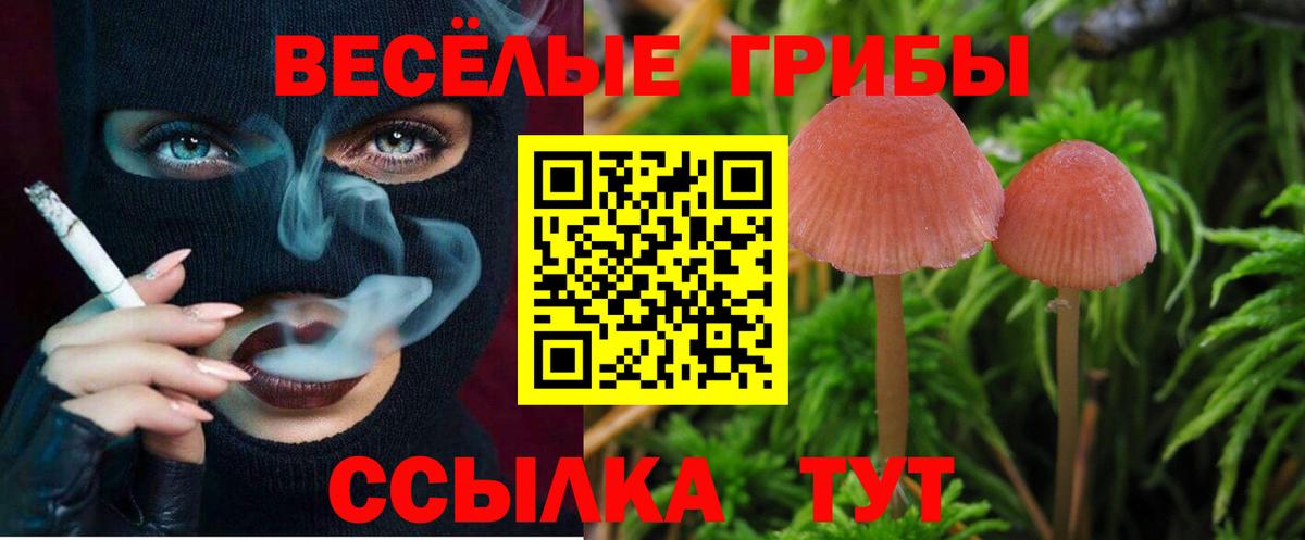 Печора  Галлюциногенные грибы MAGIC MUSHROOMS  Вход с VPN 